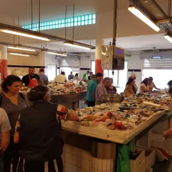 Mercado do Peixe (Fish Market) - Aveiro