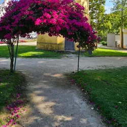 Parque Infante D. Pedro - Aveiro