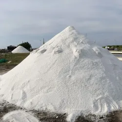 Salt Pans of Aveiro - Aveiro