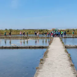 Salt Pans of Aveiro - Aveiro