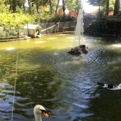 Parque da Cidade de Barcelos - Barcelos