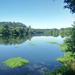 Rio Cávado - Barcelos