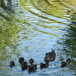 Parque da Cidade - Jardim do Rio - Barreiro