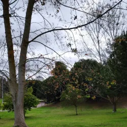 Parque da Cidade do Barreiro - Barreiro