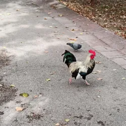 Parque da Cidade do Barreiro - Barreiro