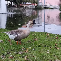 Parque da Cidade do Barreiro - Barreiro