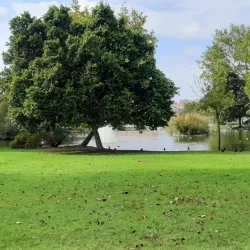 Parque da Cidade do Barreiro - Barreiro