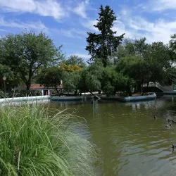 Beja Public Garden (Jardim Público de Beja) - Beja