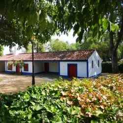 Beja Public Garden (Jardim Público de Beja) - Beja