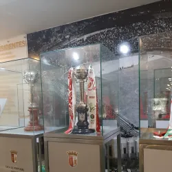 The Municipal Stadium of Braga - Braga