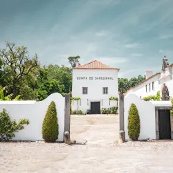 Quinta do Sanguinhal - Cadaval