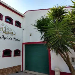 Rota dos Vinhos de Cadaval - Cadaval