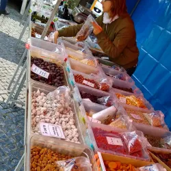 Mercado Municipal de Caldas da Rainha - Caldas da Rainha