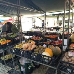 Mercado Municipal de Caldas da Rainha - Caldas da Rainha
