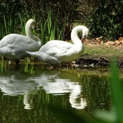 Parque D. Carlos I - Caldas da Rainha