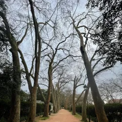 Parque da Cidade de Caldas da Rainha - Caldas da Rainha
