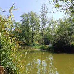 Parque da Cidade de Caldas da Rainha - Caldas da Rainha