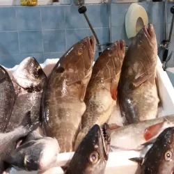 Mercado de Carnaxide - Carnaxide