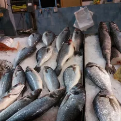 Mercado de Carnaxide - Carnaxide