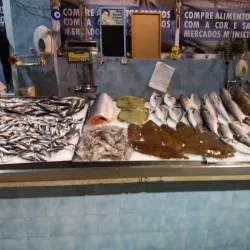 Mercado de Carnaxide - Carnaxide