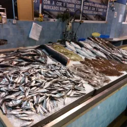 Mercado de Carnaxide - Carnaxide