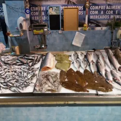 Mercado de Carnaxide - Carnaxide