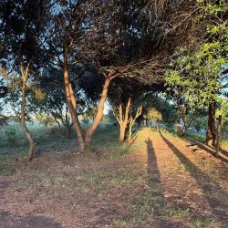 Parque Urbano de Carnaxide - Carnaxide