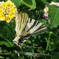 Parque Urbano de Carnaxide - Carnaxide