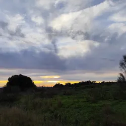 Parque Urbano Quinta da Fonte - Carnaxide