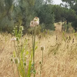 Parque Urbano Quinta da Fonte - Carnaxide