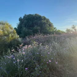Parque Urbano Quinta da Fonte - Carnaxide