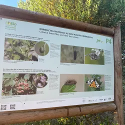 Parque Urbano Quinta da Fonte - Carnaxide