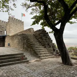 Castelo Branco Castle - Castelo Branco