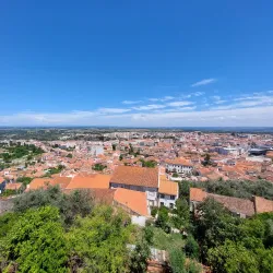 Castelo Branco Castle - Castelo Branco