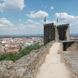 Castelo Branco Castle - Castelo Branco