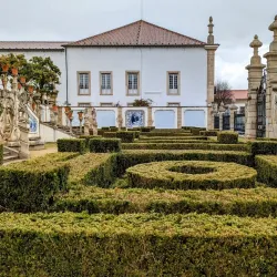 Museu Francisco Tavares Proença Júnior - Castelo Branco