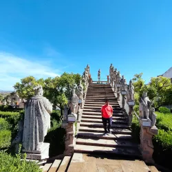 Museu Francisco Tavares Proença Júnior - Castelo Branco