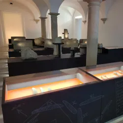 Museu Francisco Tavares Proença Júnior - Castelo Branco