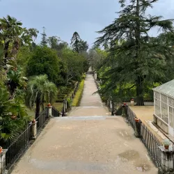 Botanical Garden of the University of Coimbra - Coimbra