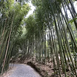 Botanical Garden of the University of Coimbra - Coimbra