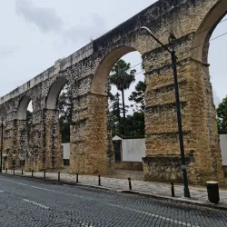 Botanical Garden of the University of Coimbra - Coimbra