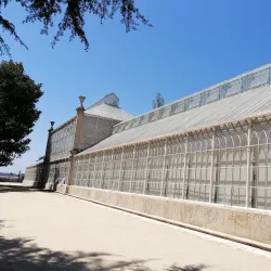 Botanical Garden of the University of Coimbra - Coimbra