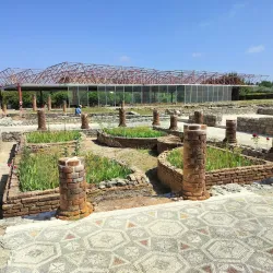 Conímbriga Roman Ruins - Coimbra