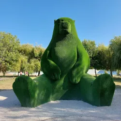 Mondego River and Riverside Walks - Coimbra