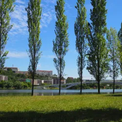 Mondego River and Riverside Walks - Coimbra