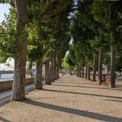 Mondego River and Riverside Walks - Coimbra