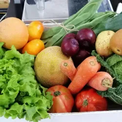 Mercado Municipal de Corroios - Corroios