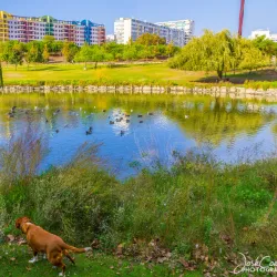 Parque da Paz - Corroios