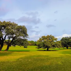 Parque da Paz - Corroios