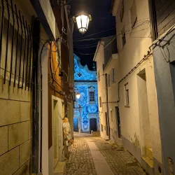 Igreja de Santa Maria de Covilhã - Covilha